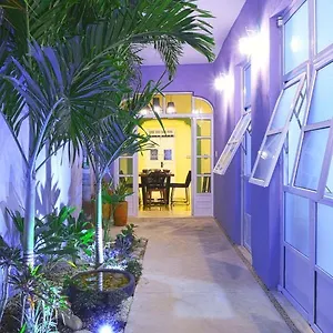 casa-violeta.hotelsmerida.org/
