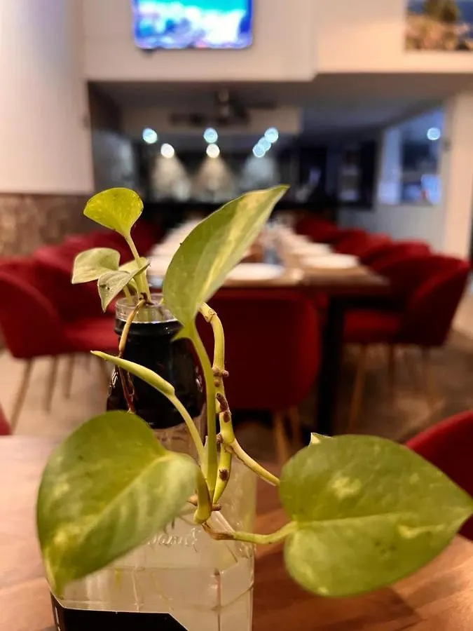 Deluxe Condos 42 Πλάγια Ντελ Κάρμεν